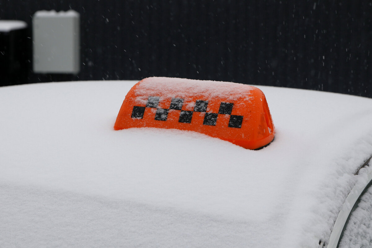 Фото: Maksim Konstantinov/Global Look Press