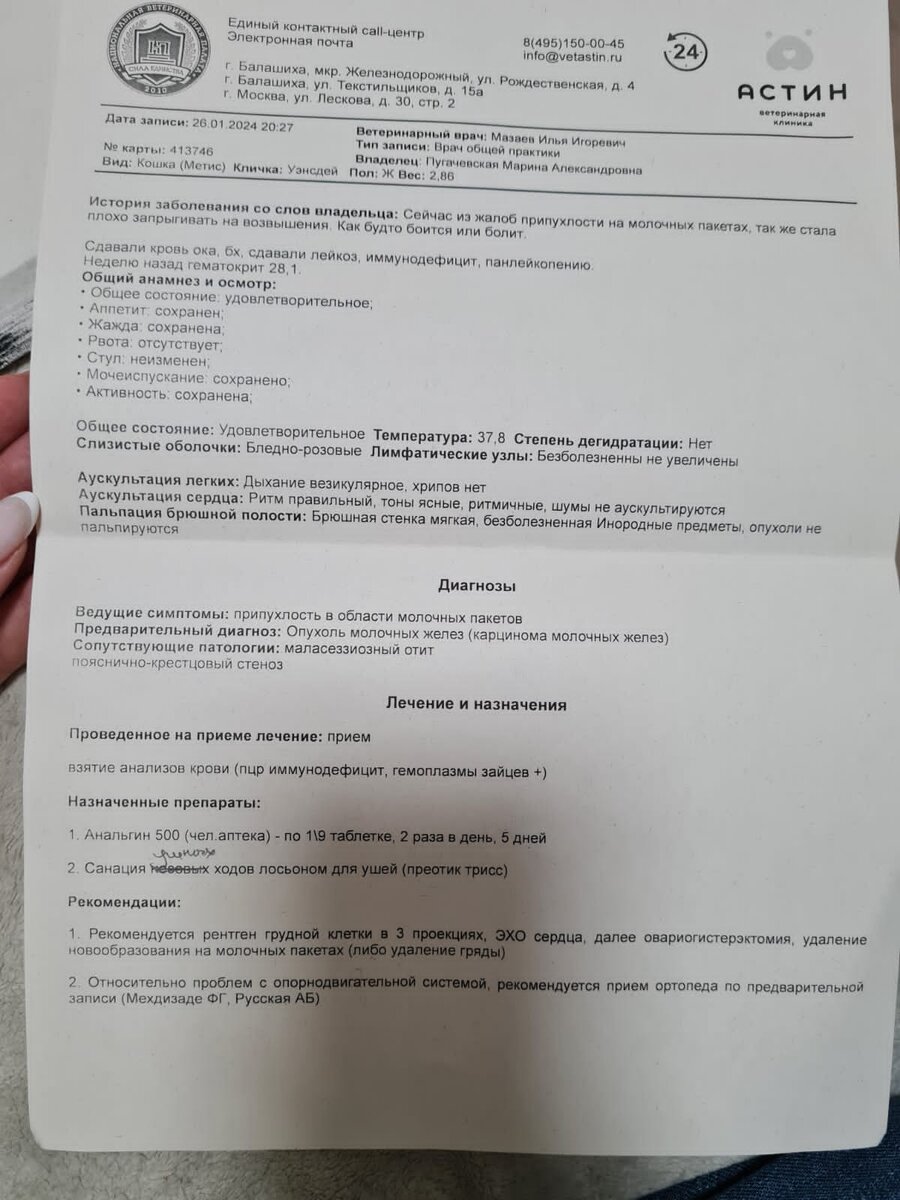 Заключение терапевта. (Указана кличка Уэнсдэй - но мы в итоге решили оставить ее Феей🙏🏻)