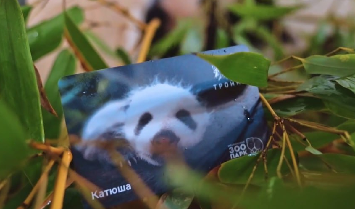    Фото: Дептранс Москвы / Telegram