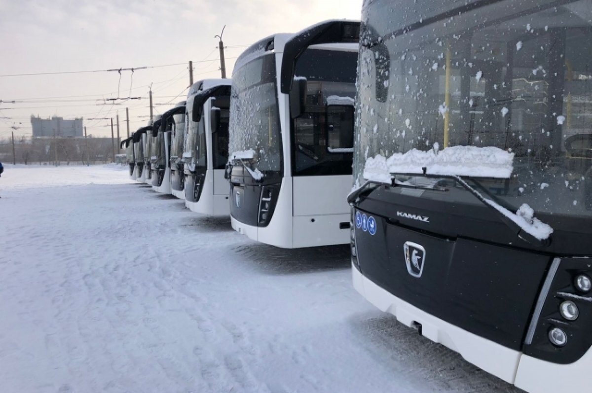    Поступила первая партия новых больших автобусов для Барнаула