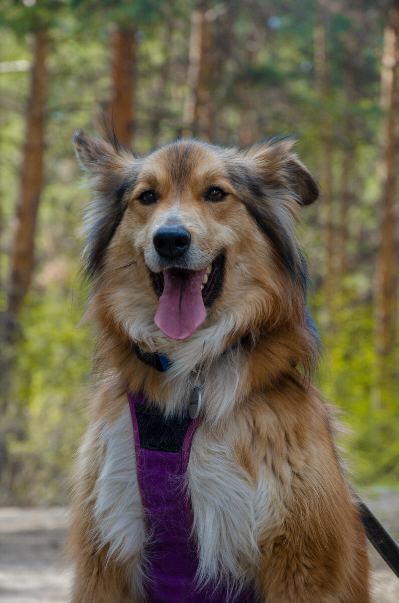 Мир, Мироша, Мирохин💖