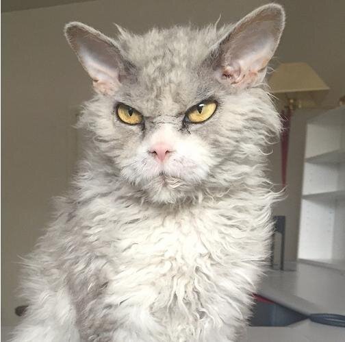 Красивая девушка и некрасивый парень. Красивая и некрасивая девушка. Некрасивые жених и невеста. Страшная девушка с парнем. Некрасивый парень с девушкой.