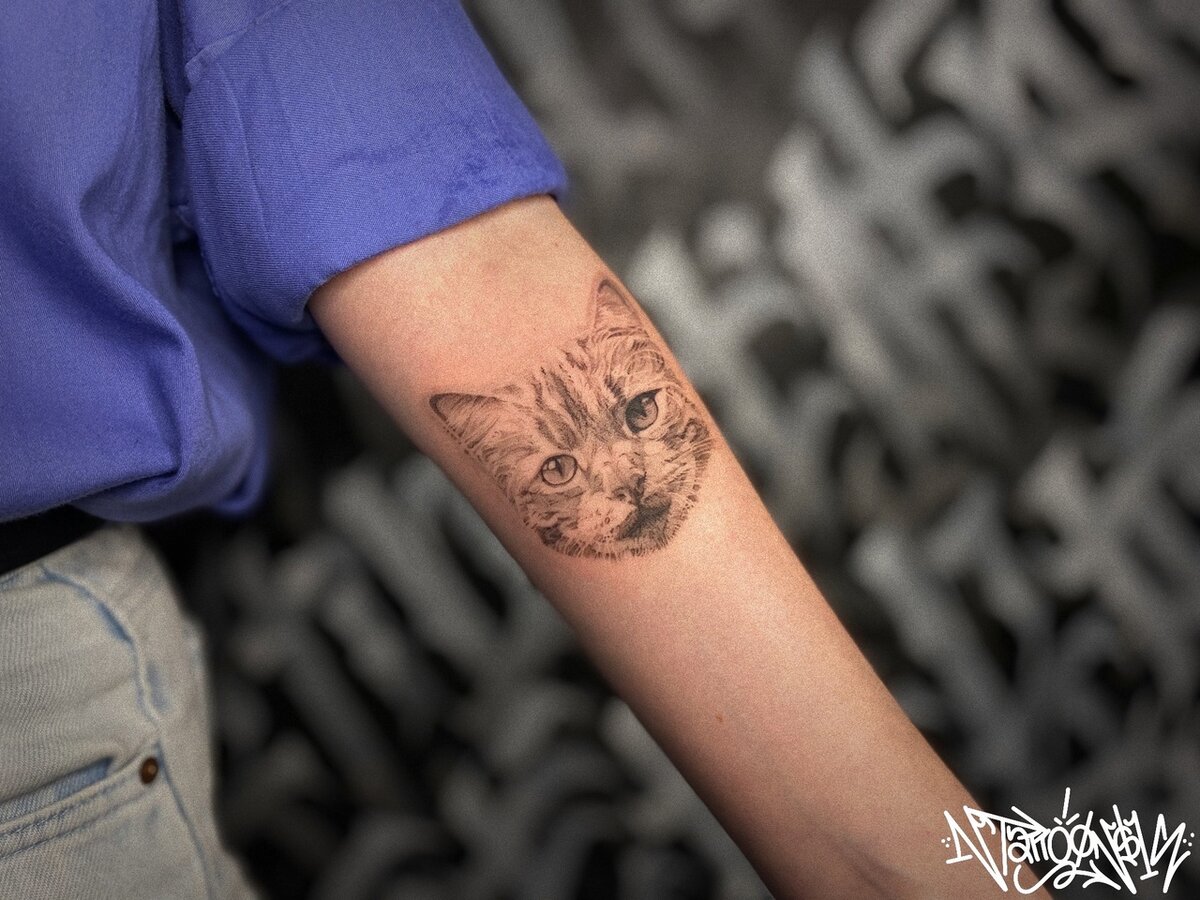 Тату начинающий видео. Тату начинающий видео. Тату мастер чб. Начинающий тату мастер. Тату начинающий видео.