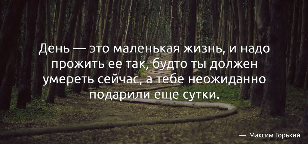 быть умным это прикинутся тупым. мудрость это в философии. мудрость это в философии. что означает умный человек. мудрый человек.