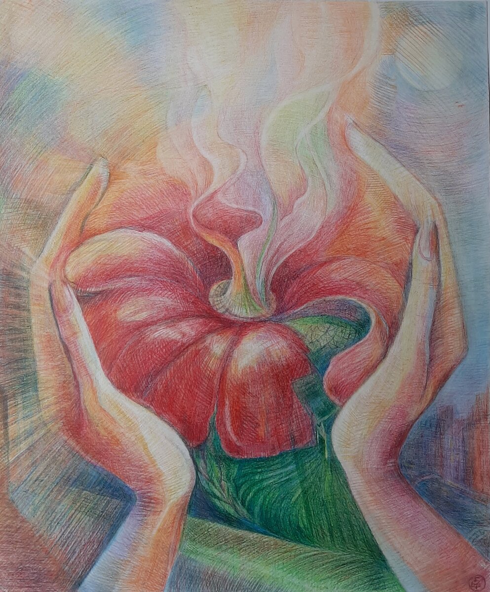 Аромат. Глызина Елена 2011. Бумага карандаш