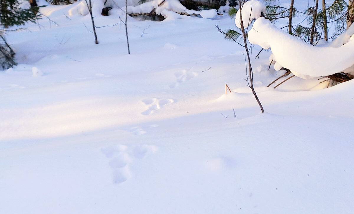 Стихи про года летят. Песня время пролетит незаметно. Время пролетит быстро и незаметно. Время прошетело не щаметно. Стих быстро лето пролетело.
