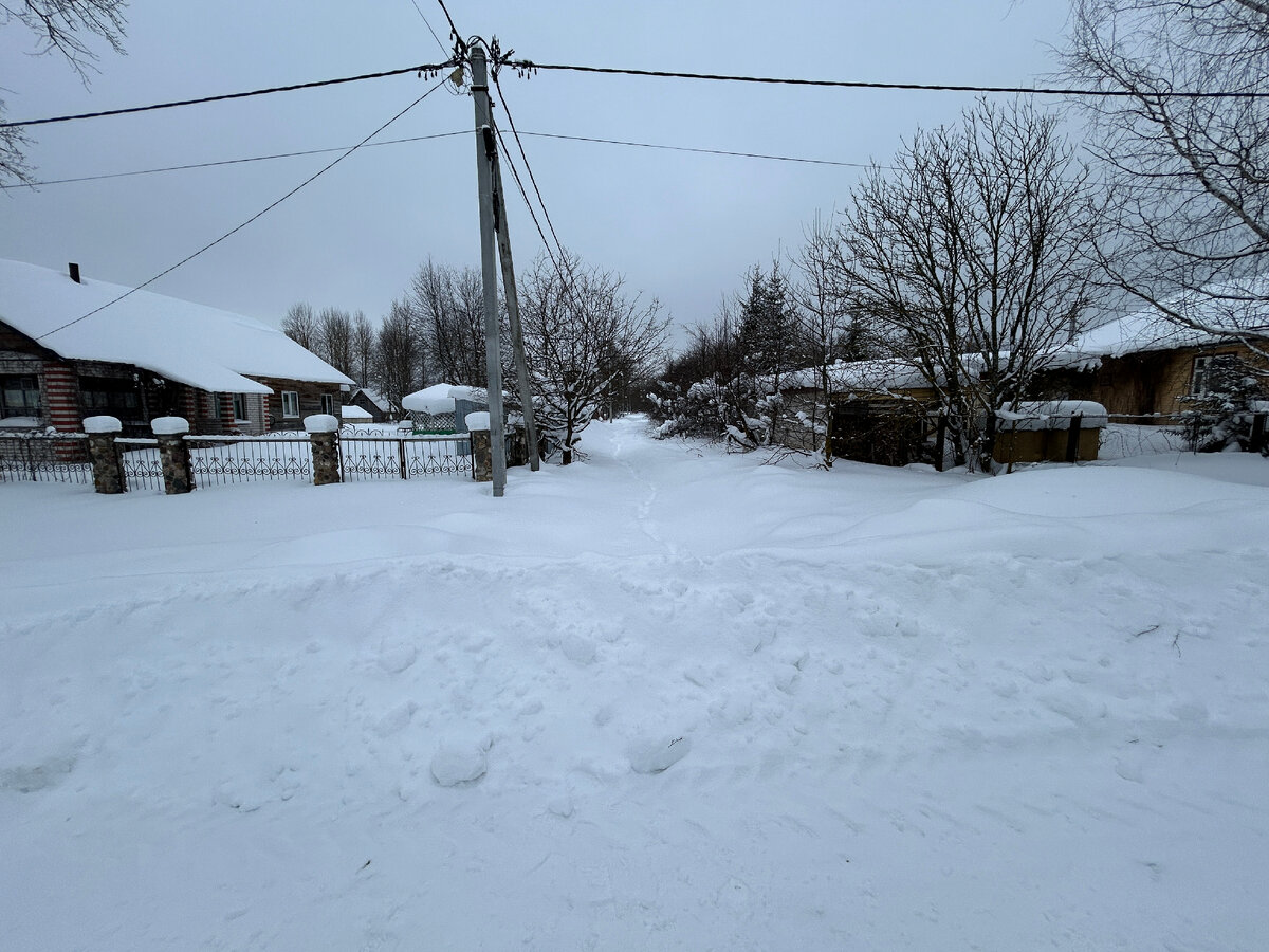 Ухоженная деревня. Деревня олеховская сямженский район. Покинутая деревня. Деревня ушла. Деревня дор в архангельской области.