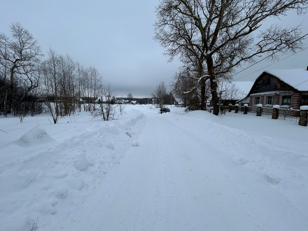 самая красивая деревня в россии ярославская область вятское. терем расписной станица старочеркасская. деревни белоруссии. деревенский сад. красивая деревня.