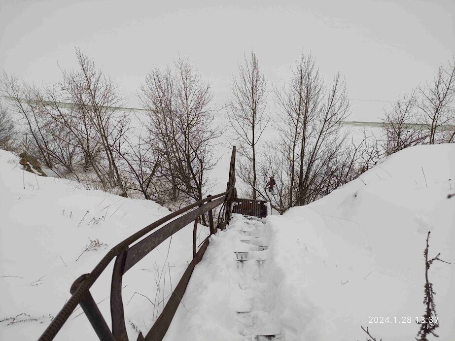 Газ 24 02. Волга 7. Волга 7. Волга газ 24. Волга газ 24 02.