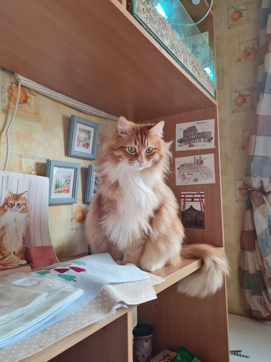 Ричард охраняет мои неоформленные работы (слегка в шоке от их количества!)