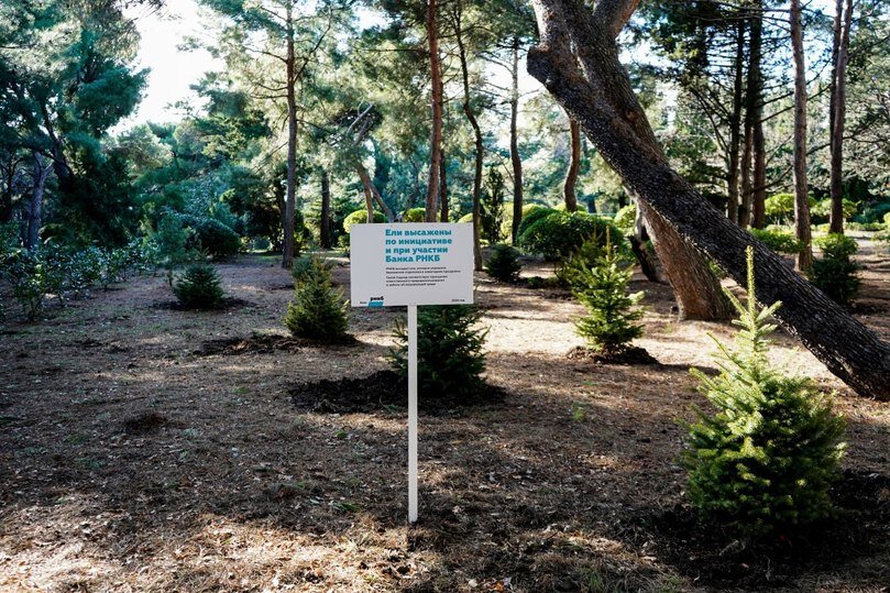 Сбербанк в крыму. Банки в крыму список российские. Банки в крыму. Какие банки работают в крыму 2023. Какие банки работают в крыму 2023.