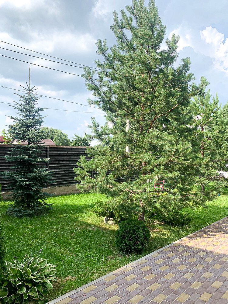 Площадь ильича архитектура. Шоссе энтузиастов 86 корпус 5. Шоссе энтузиастов 100к4. Энтузиастов, д. Ул шоссе энтузиастов д 86.