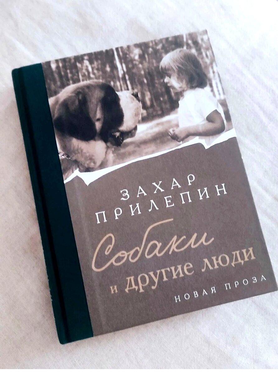 Чем занять себя немолодой деве, если на улицу ей мешает выйти гипс? |  Солнце светит всем | Дзен