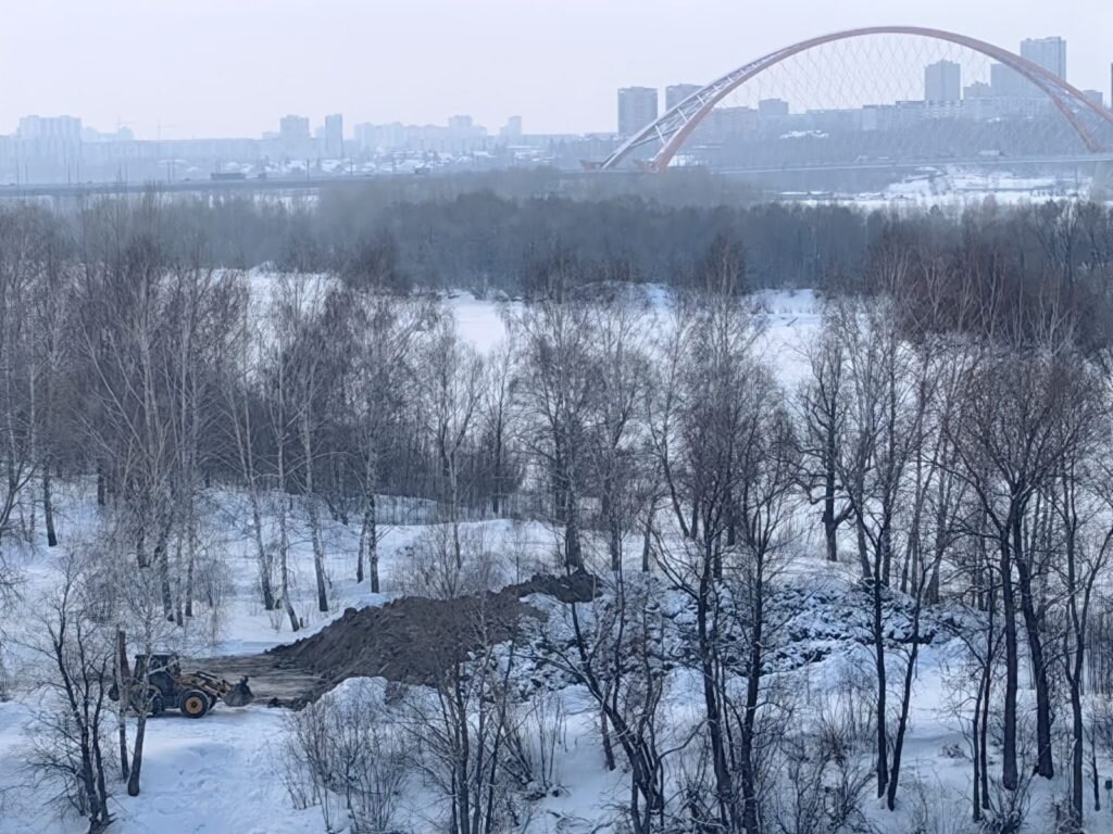 Жители Европейского берега обнаружили, что на острове Высокий начались  работы | Infopro54.ru – Новости Сибири | Дзен