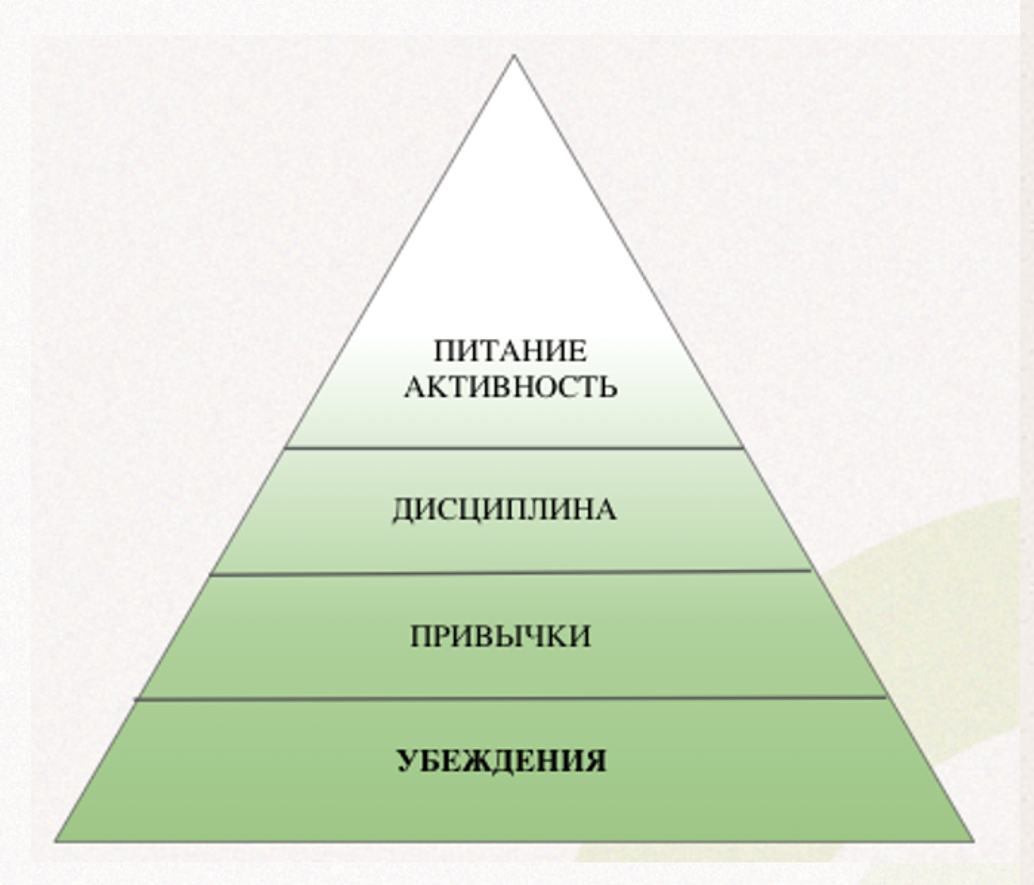 Диета для похудения с выходом. Переваривание пищи. Питание. Переваривание пищи. Еда в желудке для детей.