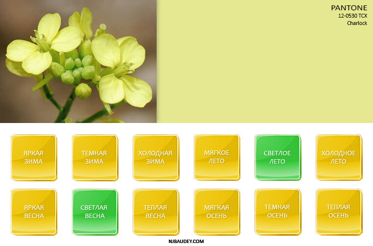 Цветовой круг спектральные цвета. 12 colors. Цветовой круг. Круг иттена триада. Цветовой круг вильгельма освальда.