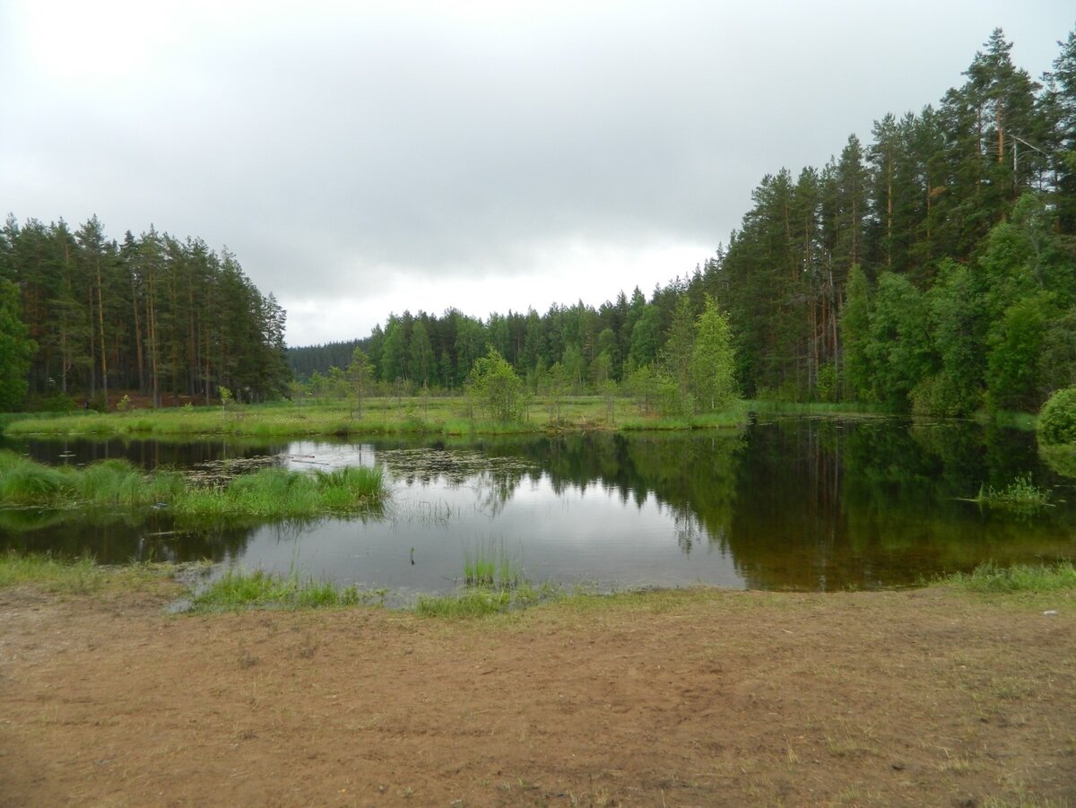парусник с алыми парусами в санкт петербурге. парусник алые паруса питер. – достоевский ф. м. белые ночи.