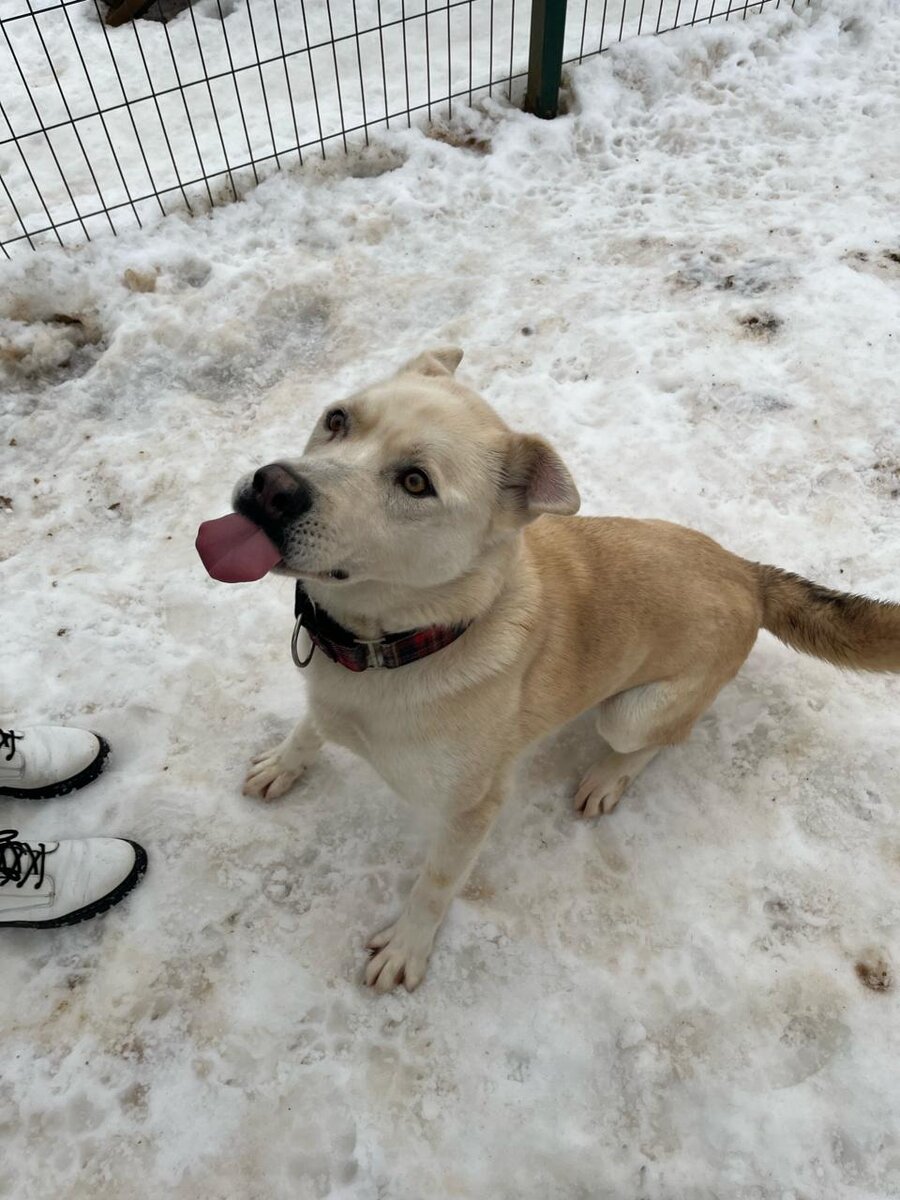 Подари мне Дом,  так я буду смотреть на тебя всегда