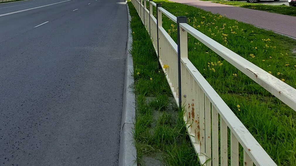 ария брянск магазин. магазин хозяин брянск логотип. магазин хозяин в брянске в фокинском. богомаз мемы. богомаз и миллер пмэф 2023.