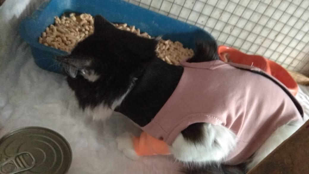 ЛИЧНОЕ ФОТО