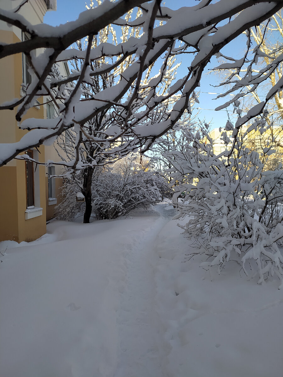 Тропинку в солнечное утро... 