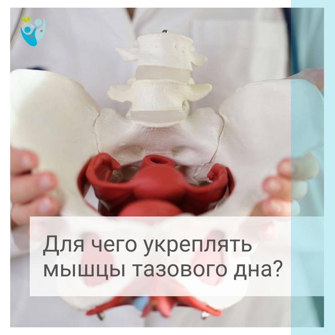 Почему важно укреплять мышцы. Почему важно укреплять мышцы. Гимнастика для укрепления мышц спины. Кошечка упражнение для спины. Упражнения на мышцы стабилизаторы.