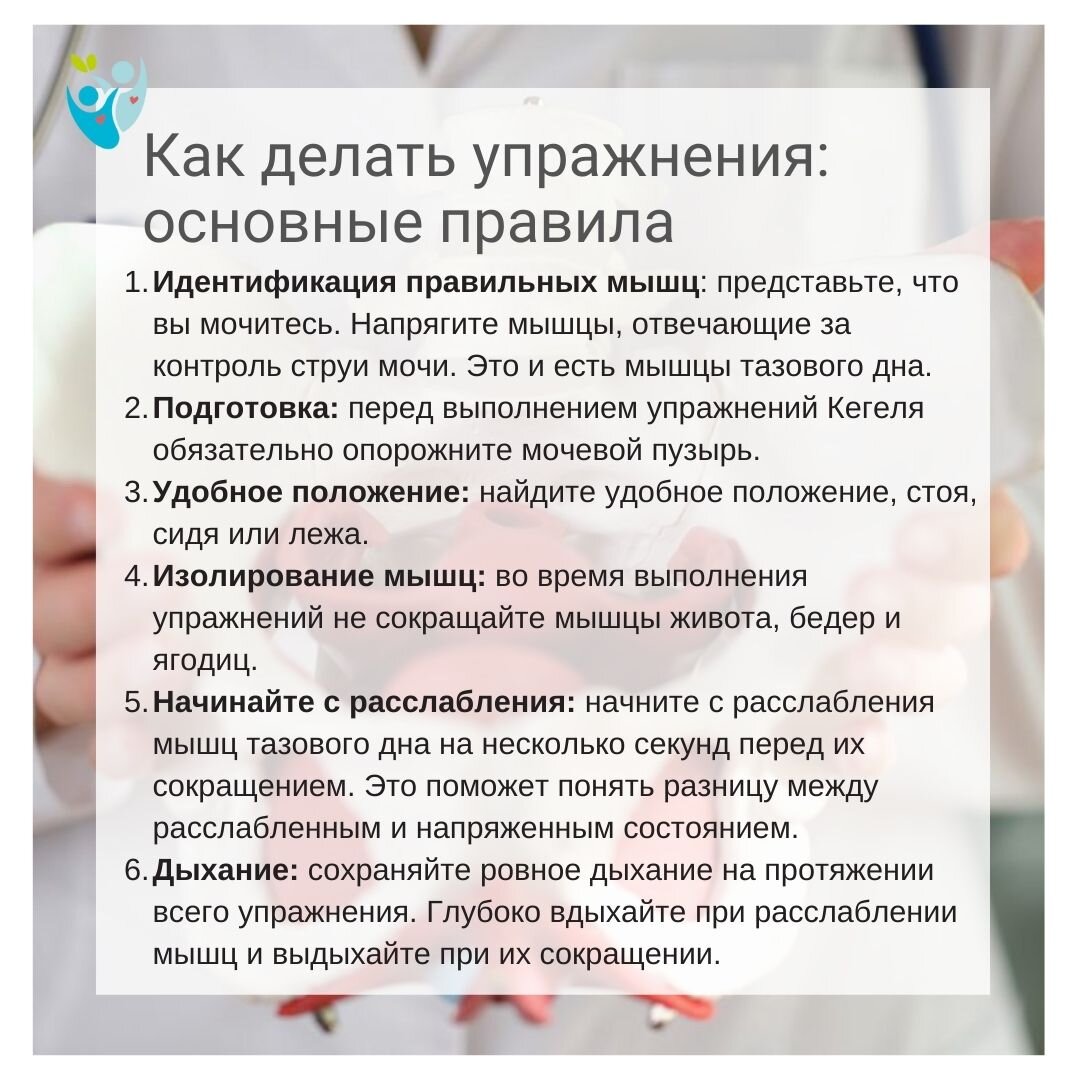 Мышцы укрепляющие суставы. Мышцы укрепляющие суставы