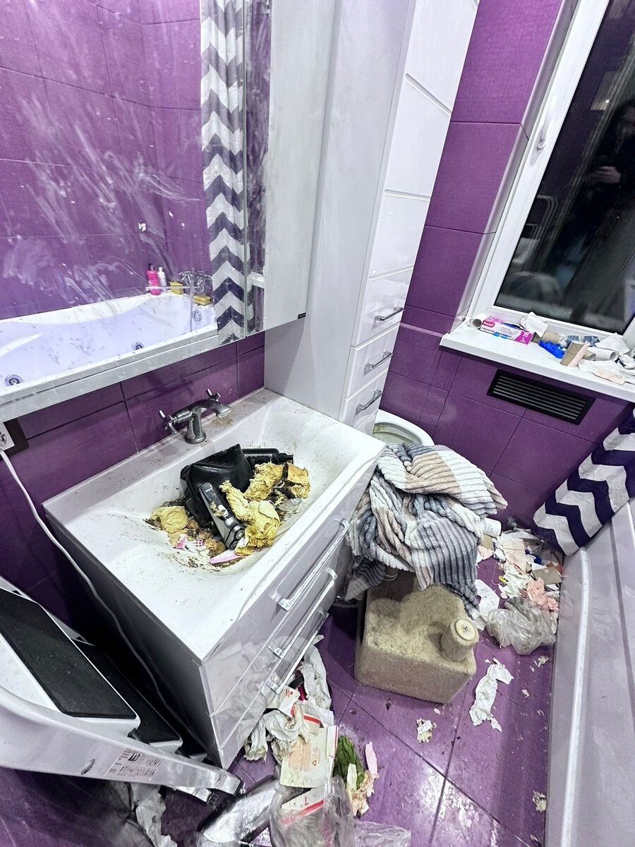 Характеристика на айтишника. Что сдавать на айтишника после 9. Девушка программист. Какие предметы нужно сдавать на программиста. Предметы чтобы поступить на программиста.