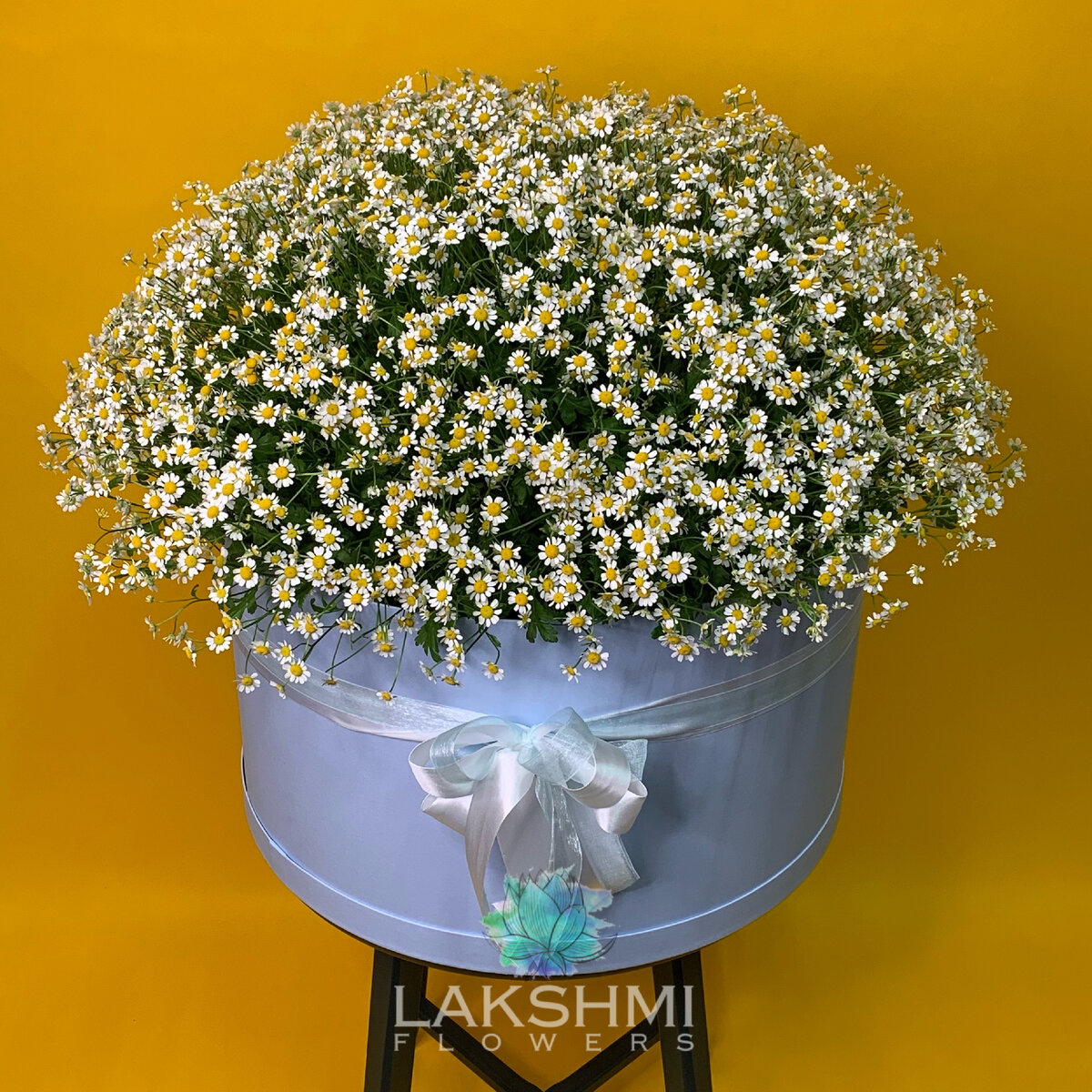 101 кустовая ромашка в шляпной коробке