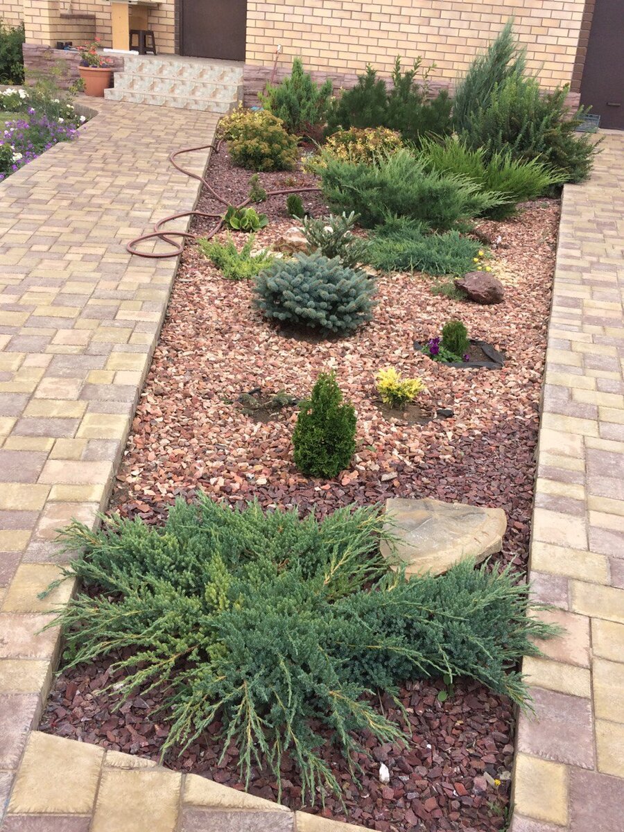 июнь 2018 года. Входная зона. 