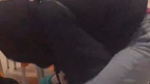 Драка в тц. В европолисе драка. Драка в торговом центре саларис. Драка в тц. Драка в тц.