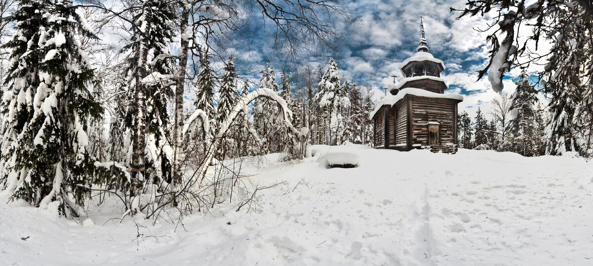 фото: Konstantin Kokoshkin/Russian Look/Global Look Press