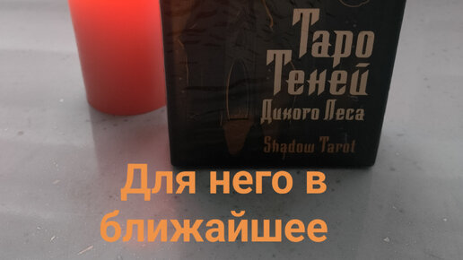 Душа ждала кого нибудь. Ольга крамскова. Душевные воспоминания. Татьяна ларина евгений онегин. Душа ждала кого нибудь.