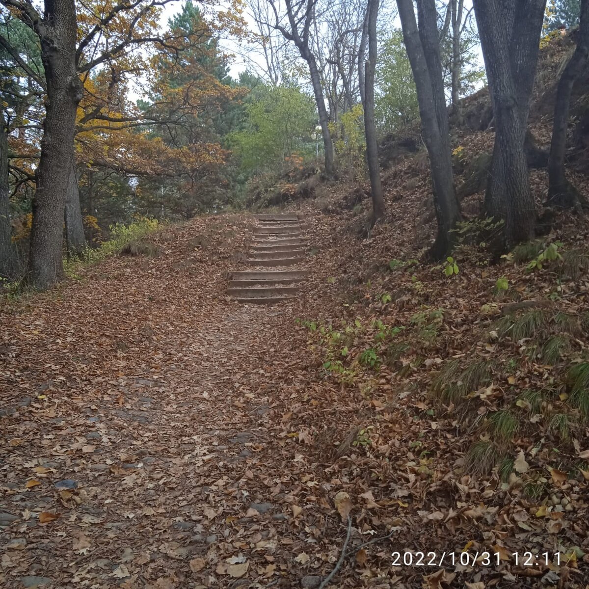 Кмв сочи. Лермонтовская галерея пятигорск. Улица ленина кисловодск. Дорога карачаевск кисловодск. Мацестинский курорт мацеста.