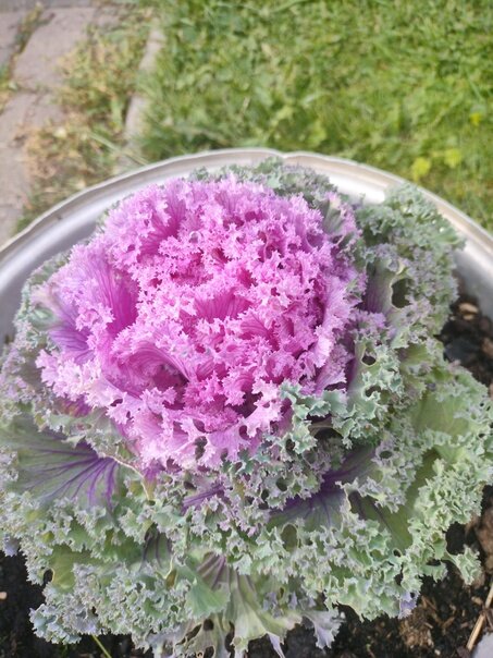 обижает отчим. детская обида психология. отчим любить детей. заговор чтобы ребенка не обижали. молитва чтобы ребенка не обижали в школе.