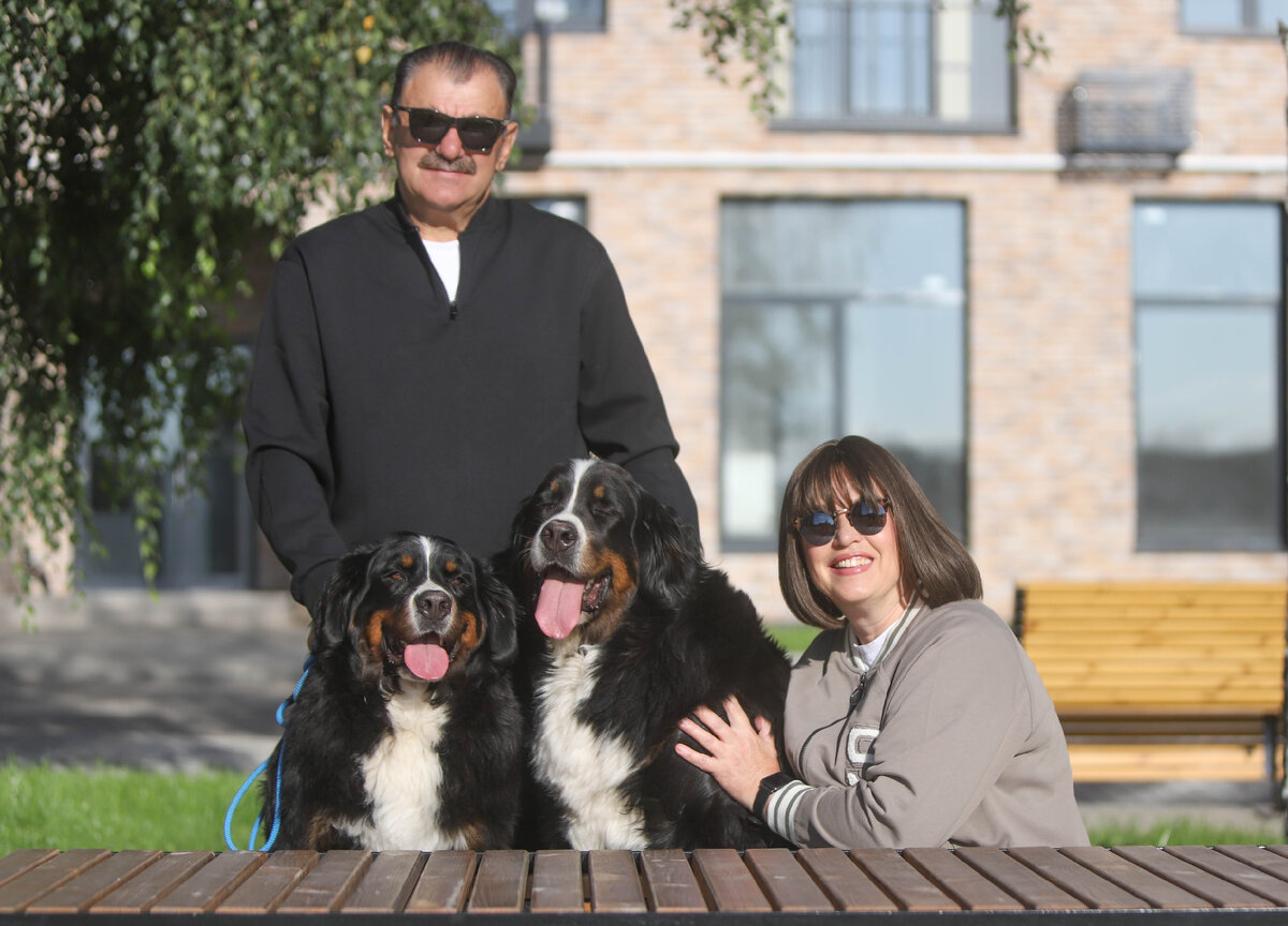 15 собак. Несколько собак. Порода хаски. 15 собак. Зеленая собака смешная.