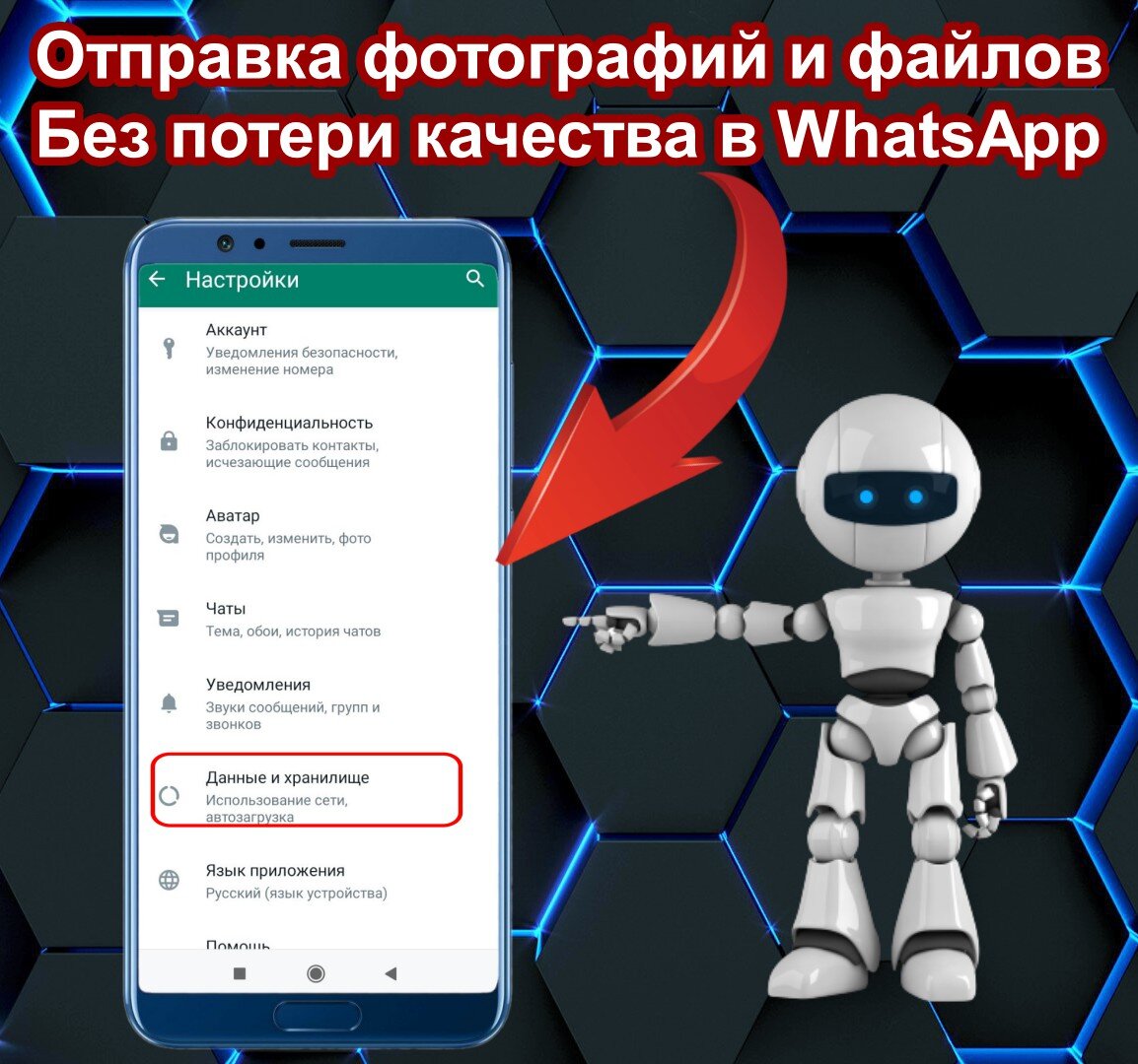 Отправка фотографий и файлов без потери качества в WhatsApp | Андроид/iOS |  Дзен