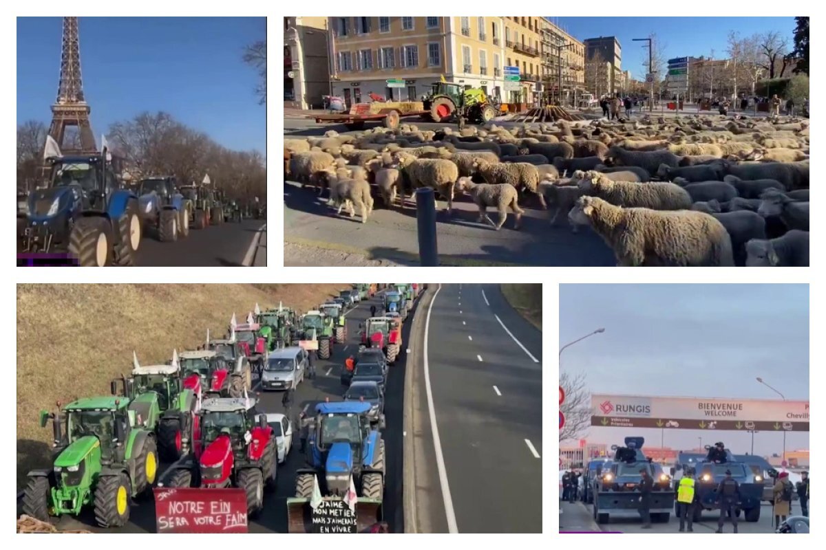     1. Фермеры едут на тракторах по Парижу. 2. Фермеры перекрывают дороги при помощи отары овец. 3. Фермеры перекрывают все дороги к Парижу, с требованием «больше денег фермерам, меньше – мигрантам». 4. Французская полиция использует бронетехнику, чтобы не допустить перекрытия дорог.