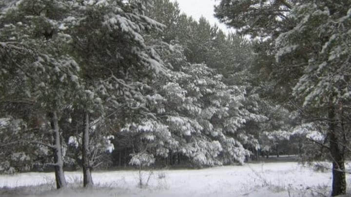    Фото: saratovnews.ru