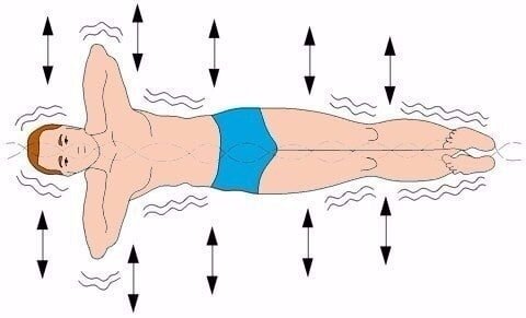 "Золотая рыбка"