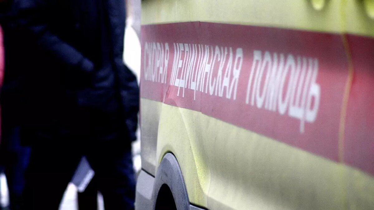    В Татарстане на трассе из Казани в Ульяновск из-за столкновения вахтового автобуса и грузовика на обочине пострадали 10 человек. Соответствующие данные Inkazan предоставили в министерстве здравоохранения республики.