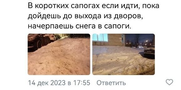 Омск 21 амурская ветеринарная клиника живаго. Обувь для собаководов. Мистер дворик. Мистер дворик. Стрижки для кастрированных котов.