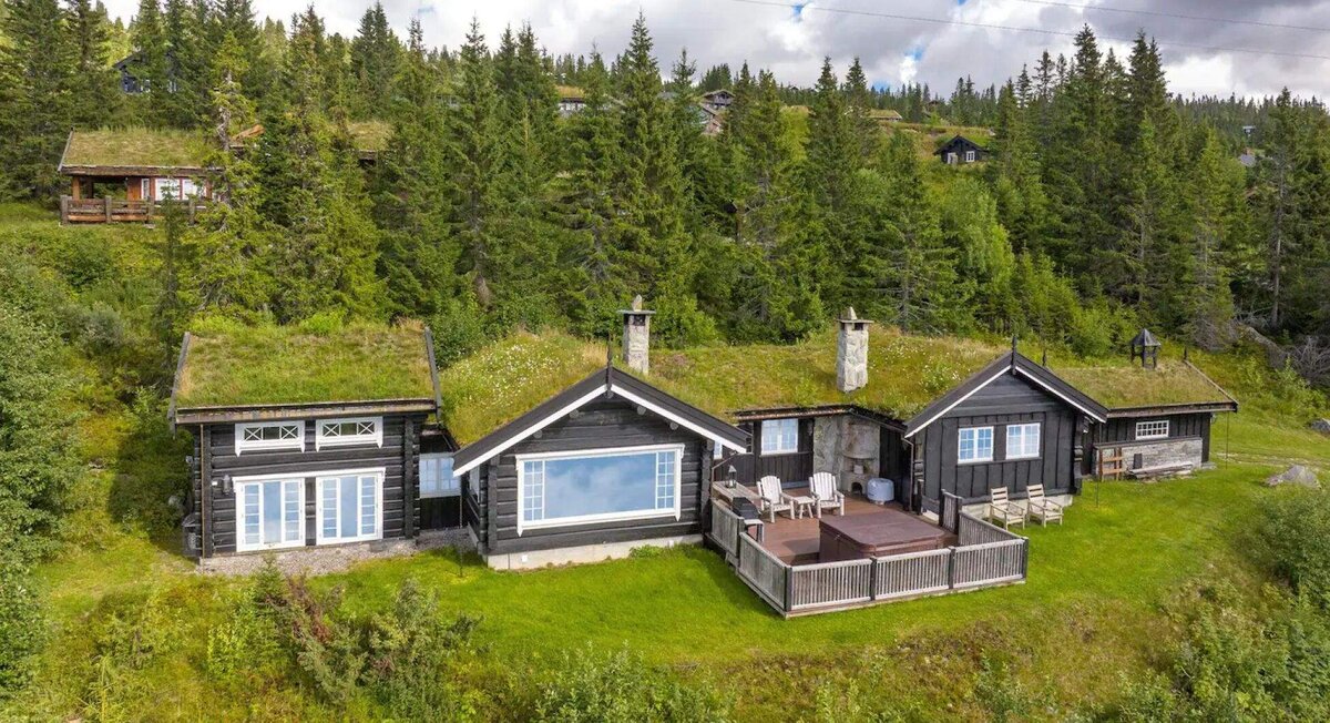 Шале барнхаус. Дом скандинавов. Дом в стиле барнхаус скандинавия. Архитектура минимализм скандинавия. Барнхаус нордик вуд.