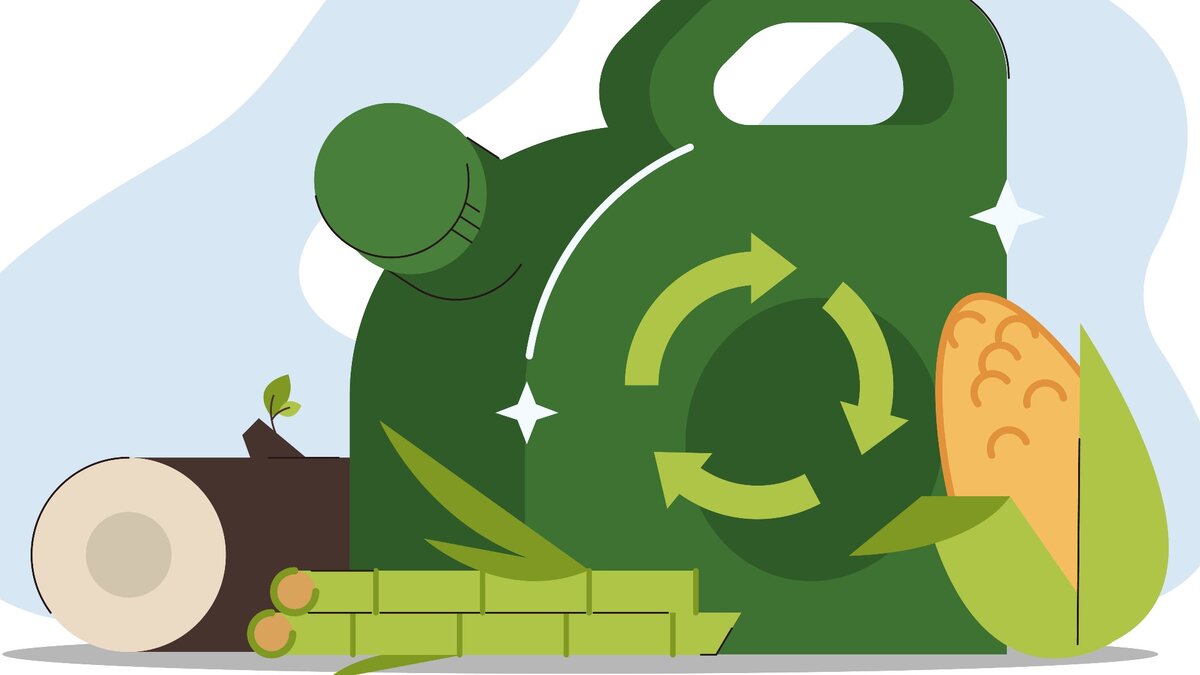 **Изображение канистры с биотопливом 