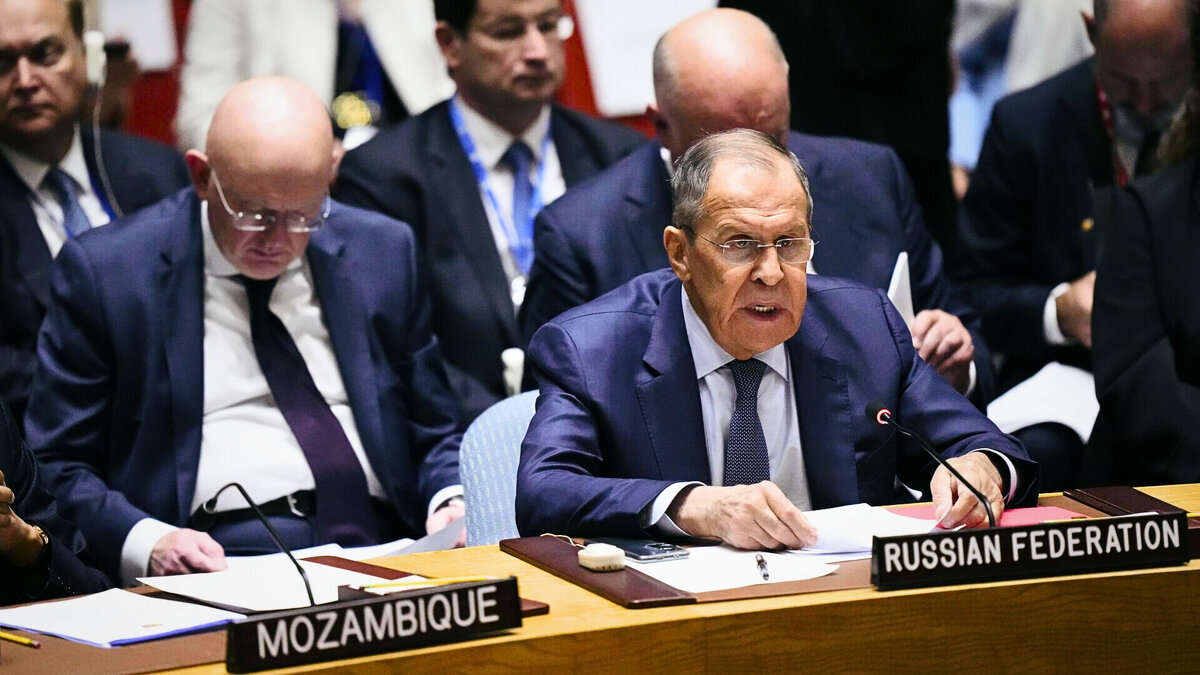 Викторов мид. Викторов мид