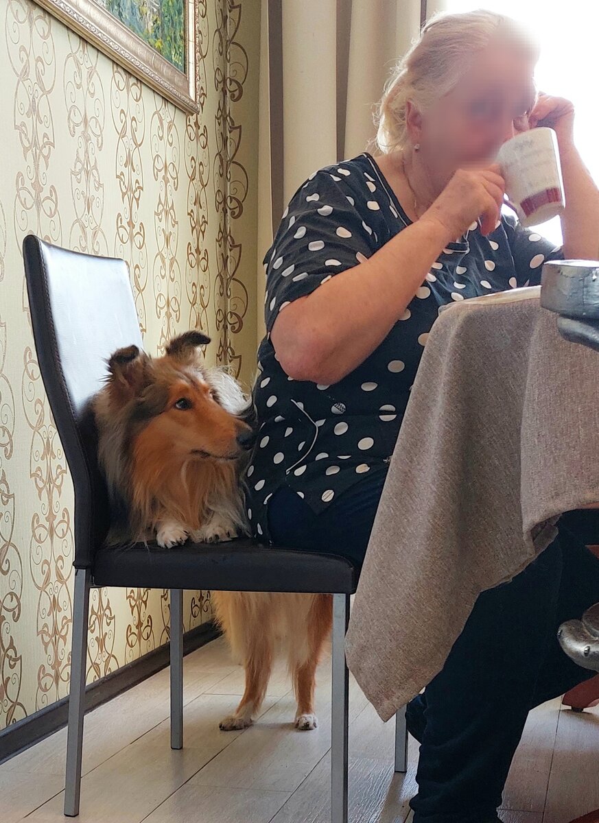 Ирма и бабушка)