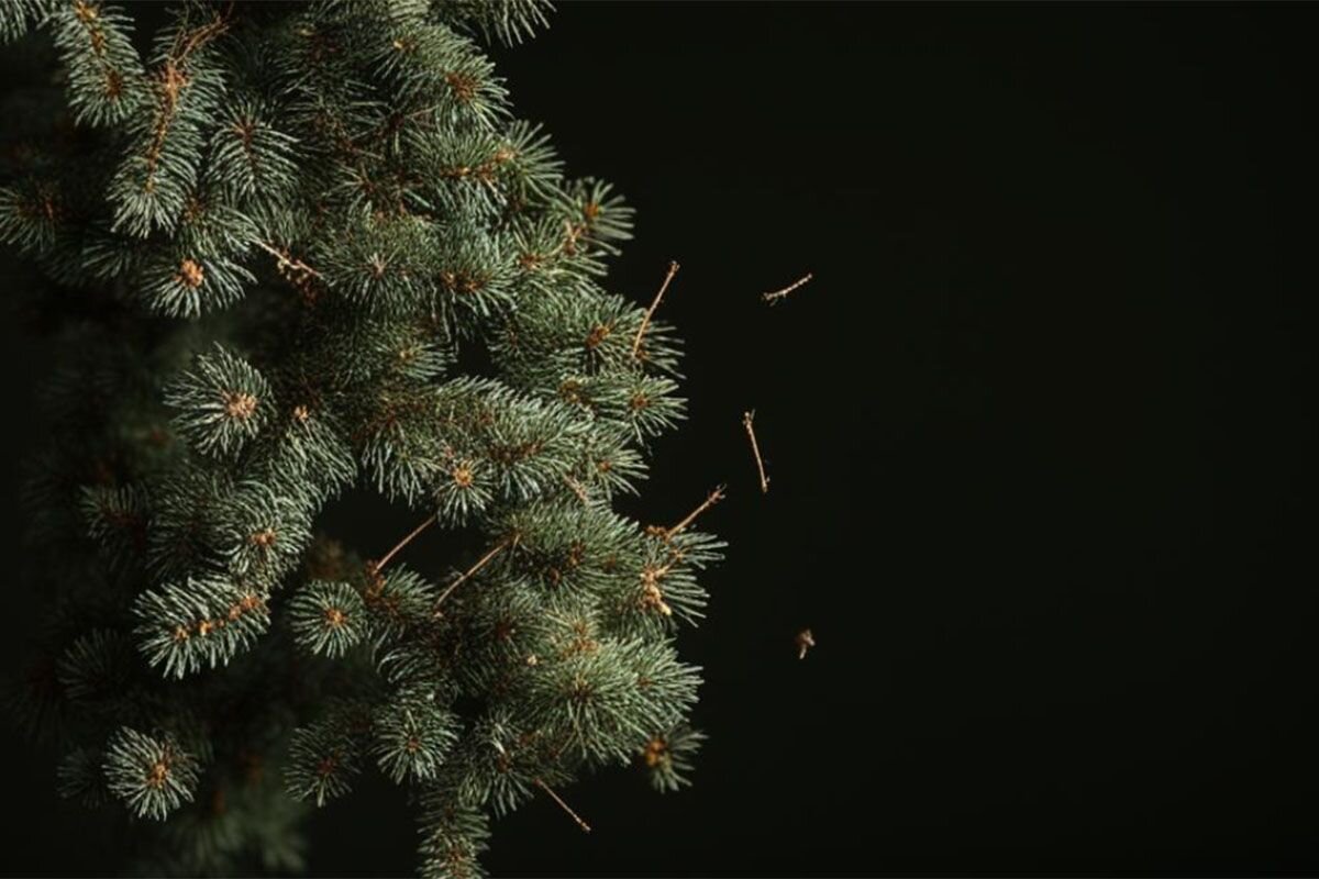 Куда можно сдать пылесос. Переработка бытовой техники. Товары в ломбарде. Куда можно сдать пылесос. Куда можно сдать пылесос.