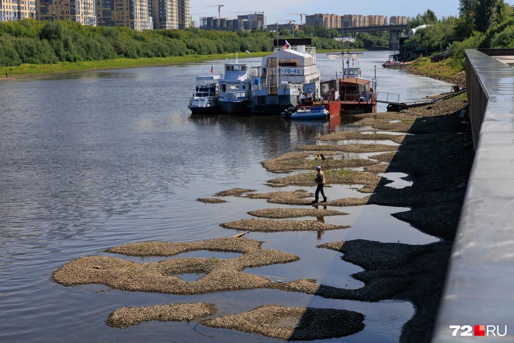 Река шага. Кривая дорога. Широкий ручей. Мистейкен пойнт. Старые мостки.