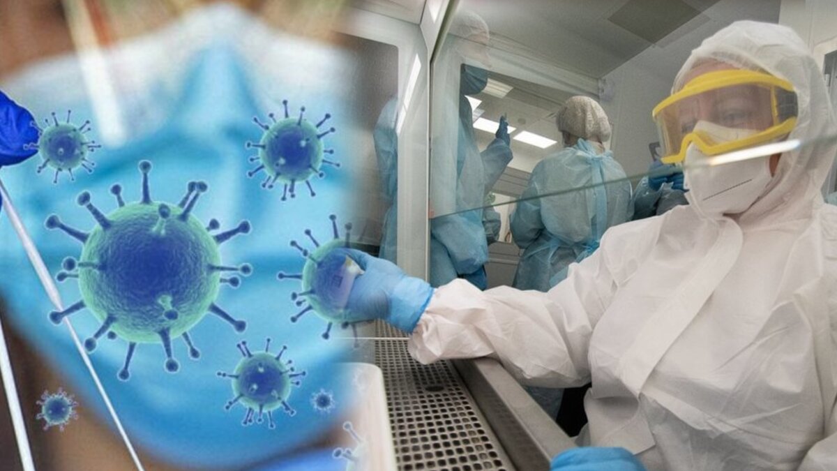 новый штамм covid-19. обнаружение коронавируса. обнаружение коронавируса. набор реактивов антитела sars cov 2 ig g. про коронавирус для детей презентация.