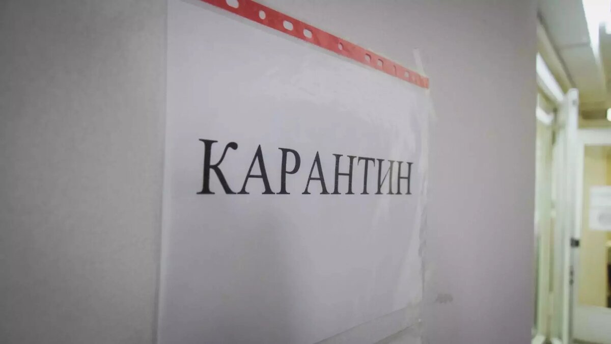     8% школ и детских садов Нижегородской области полностью или частично отправлены на карантин из-за роста заболеваемости ОРВИ. Эту новость сообщили в региональном Роспотребнадзоре.